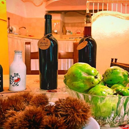 Casa Ele - The Alchemist'S House - Bikes Friendly - Apartment Сасари Екстериор снимка